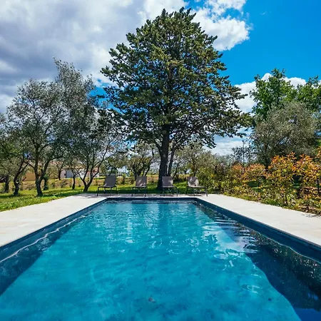 Grande Maison Familiale, Piscine * Baron (Gard)